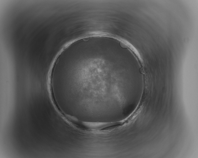 X0000102401381200808081255