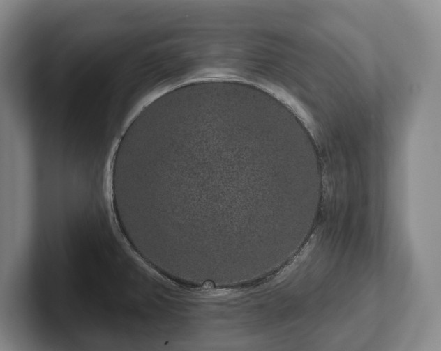 X0000102401382200808081255