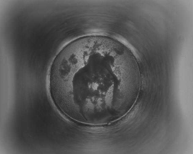 X0000102401383200808081255