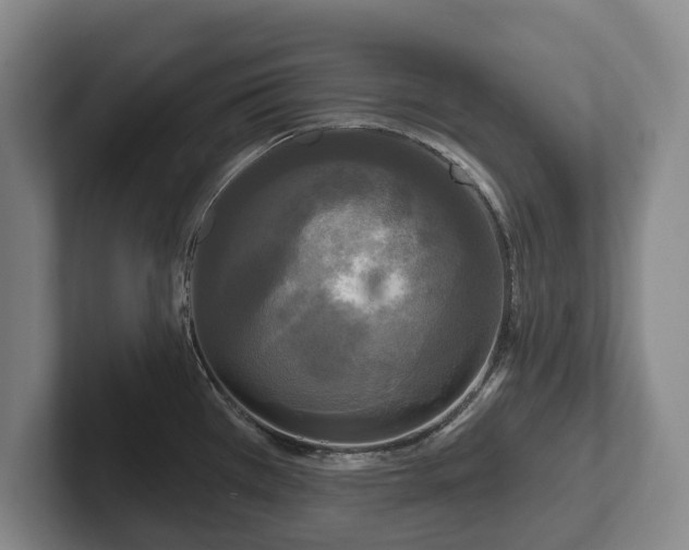 X0000102401385200808081255