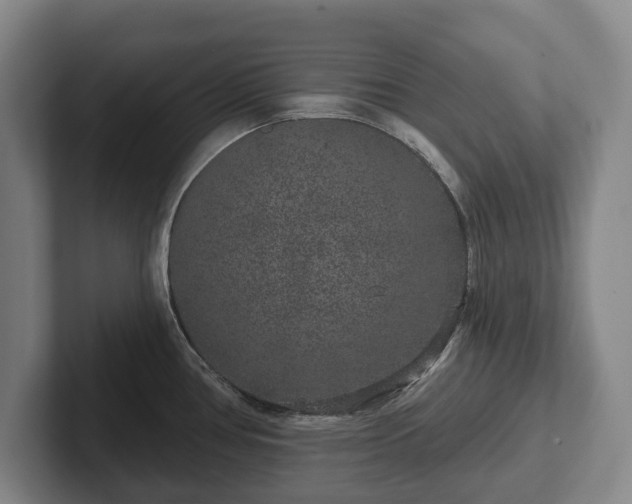 X0000102401386200808081255