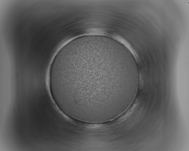 X0000102401387200808081255