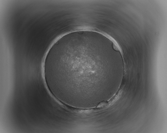 X0000102401389200808081255