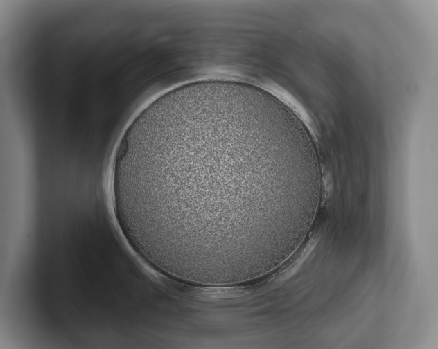 X0000102401391200808081255