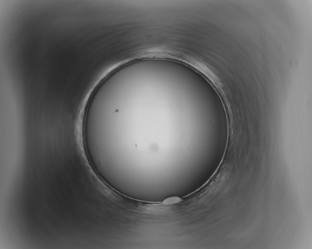 X0000102401392200808081255