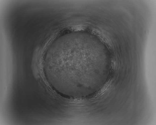 X0000102401393200808081255