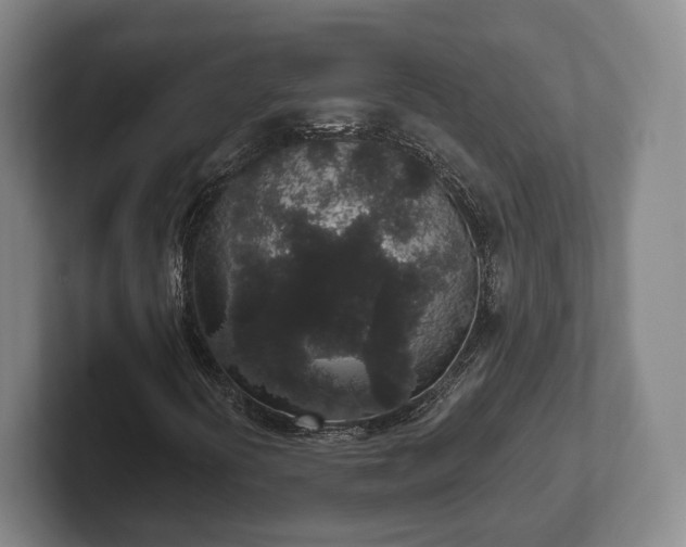 X0000102401394200808081255