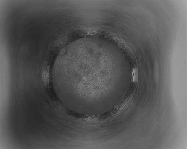 X0000102401395200808081255