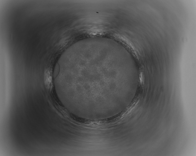 X0000102401396200808081255