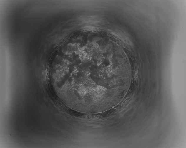 X0000102401397200808081255