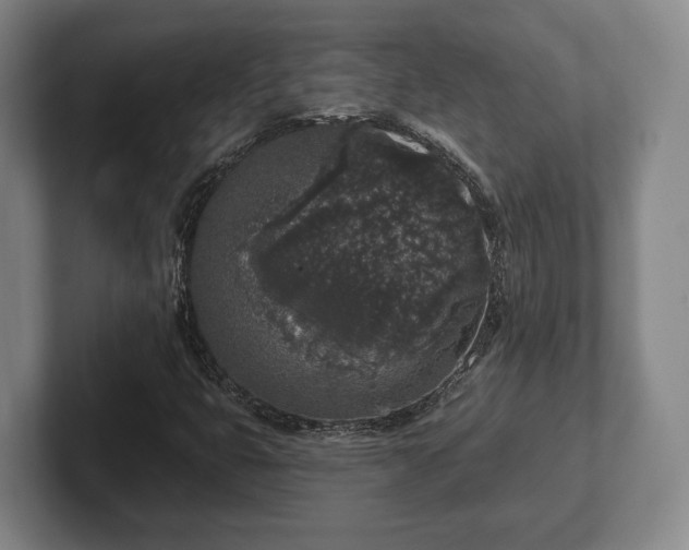 X0000102401399200808081255