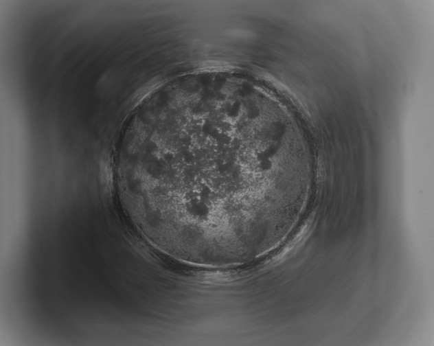 X0000102401401200808081255