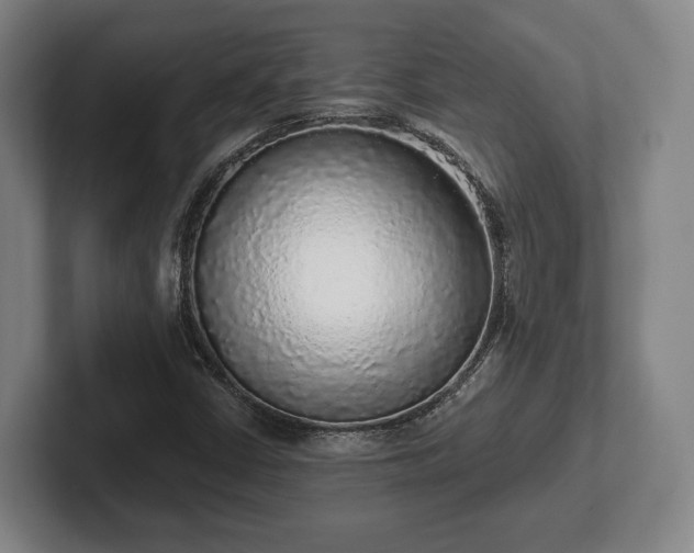 X0000102401402200808081255