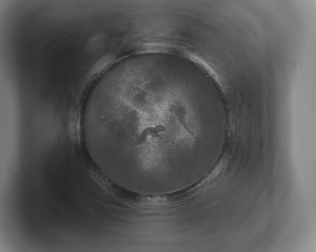 X0000102401403200808081255