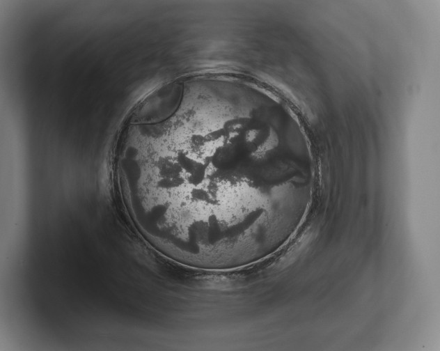 X0000102401405200808081255