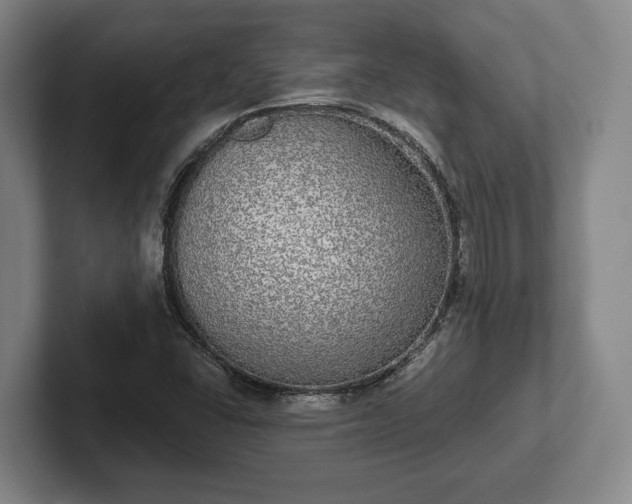 X0000102401406200808081255