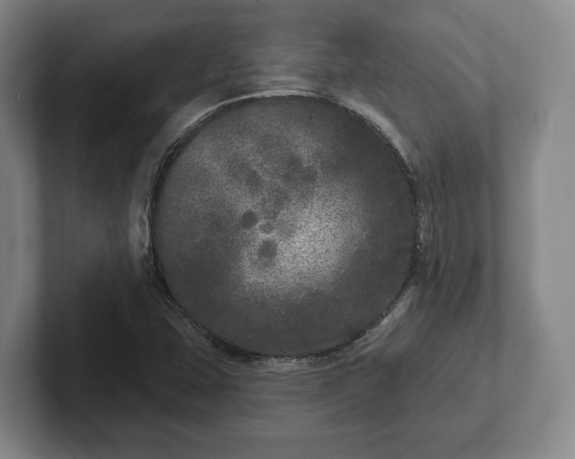 X0000102401407200808081255