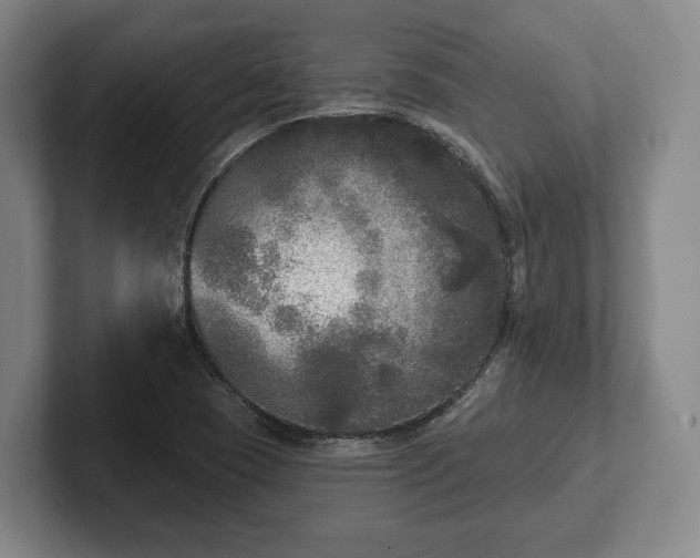 X0000102401409200808081255