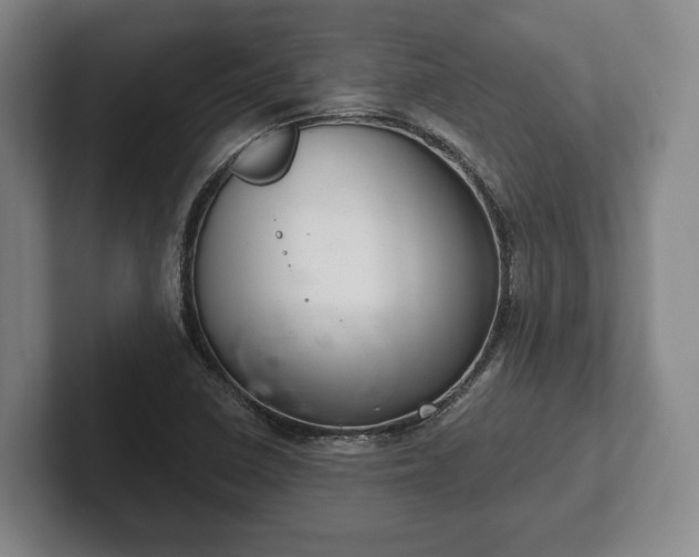 X0000102401410200808081255