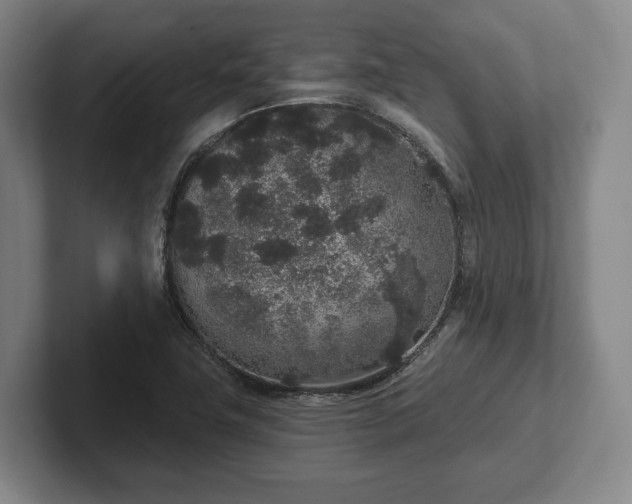 X0000102401411200808081255