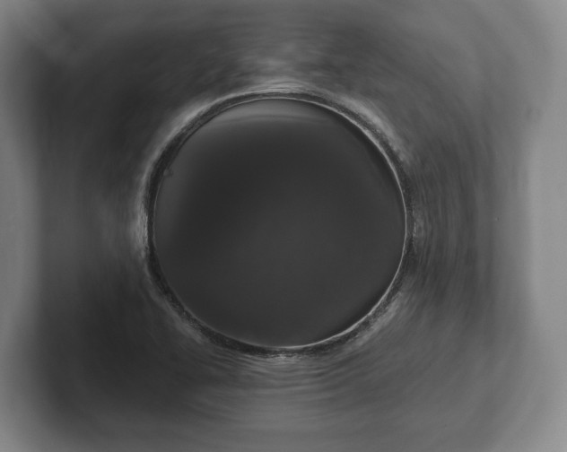 X0000102401414200808081255