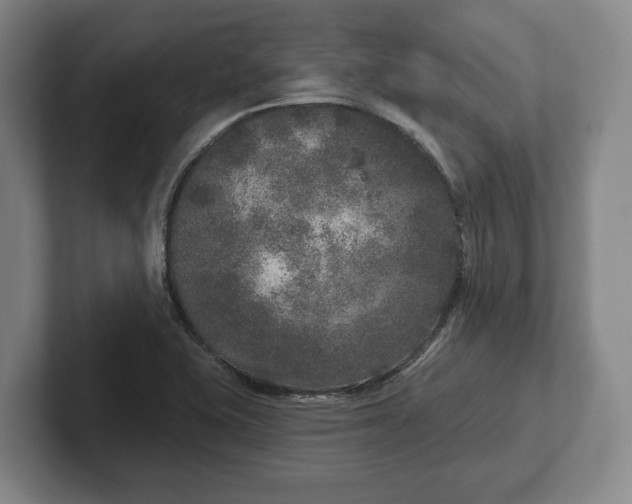 X0000102401415200808081255