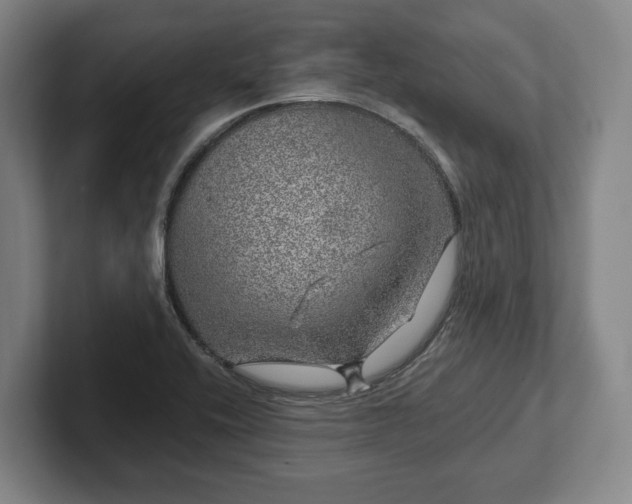 X0000102401416200808081255