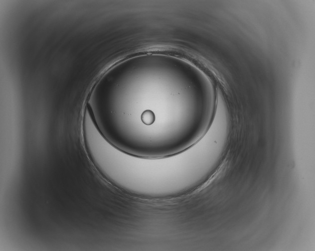 X0000102401417200808081255