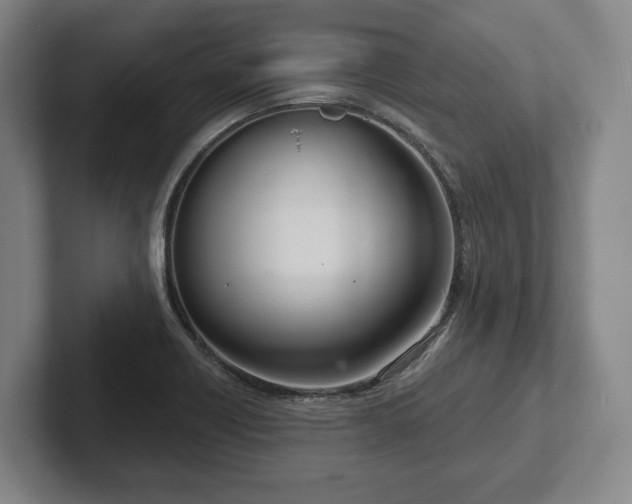 X0000102401418200808081255