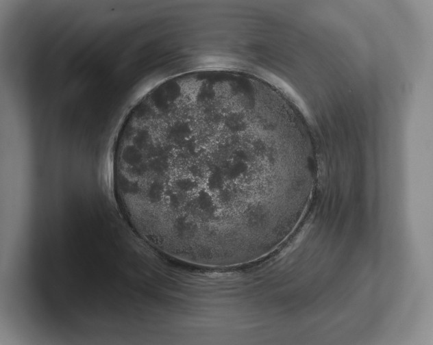 X0000102401419200808081255