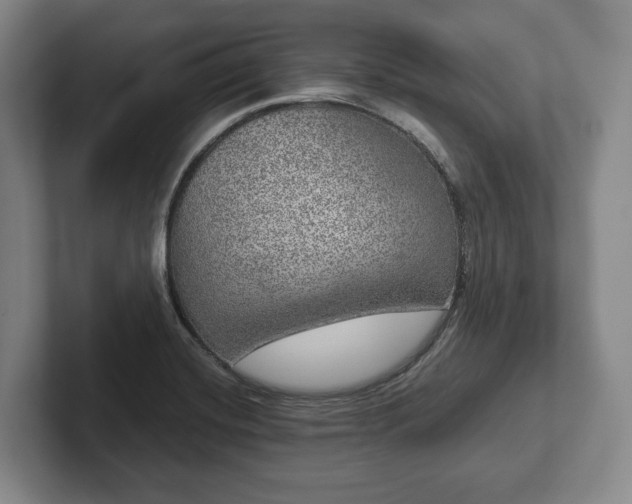 X0000102401420200808081255