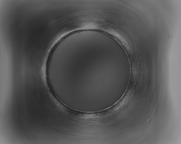 X0000102401422200808081255