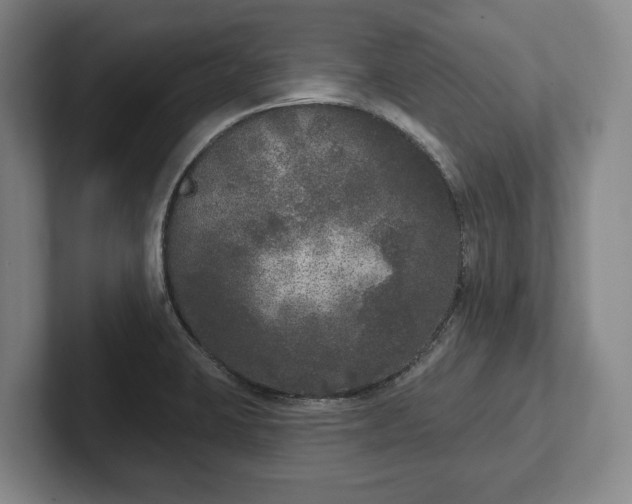 X0000102401423200808081255