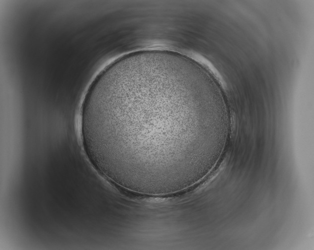 X0000102401424200808081255