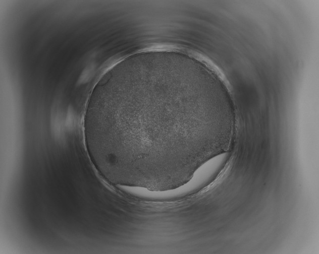 X0000102401425200808081255