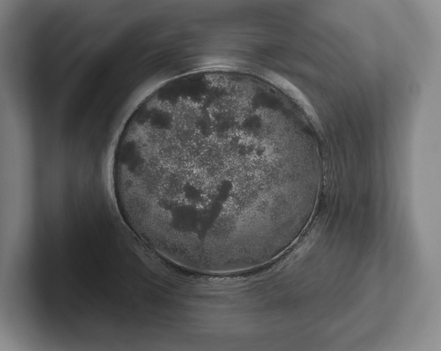 X0000102401427200808081255