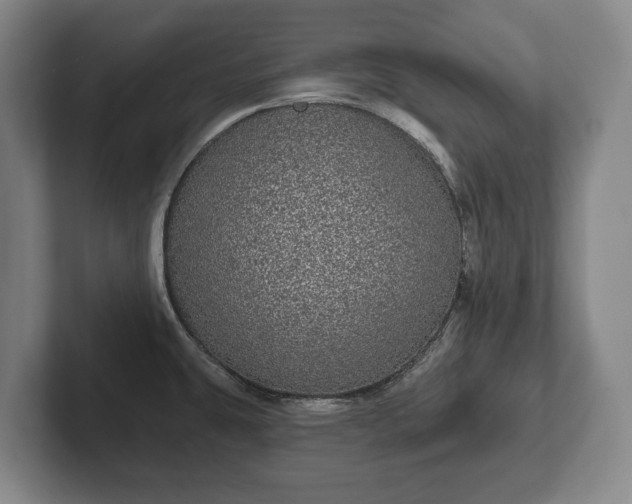 X0000102401431200808081255