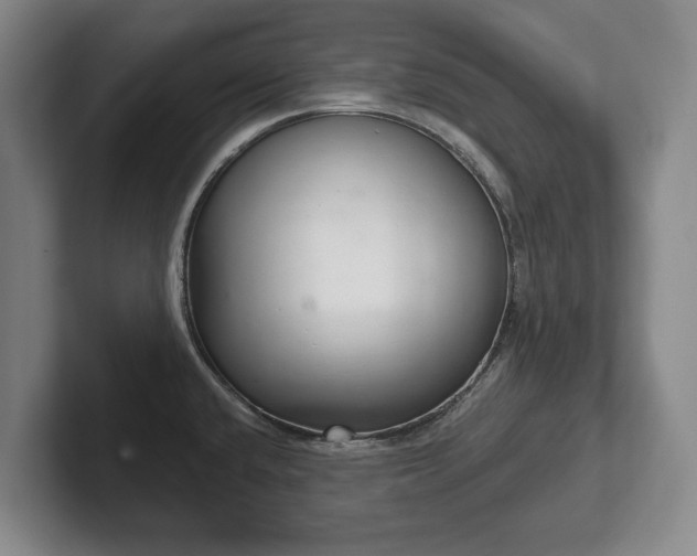 X0000102401432200808081255