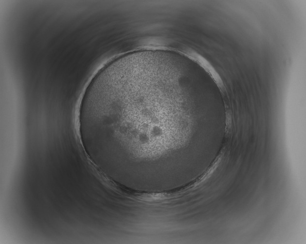 X0000102401435200808081255