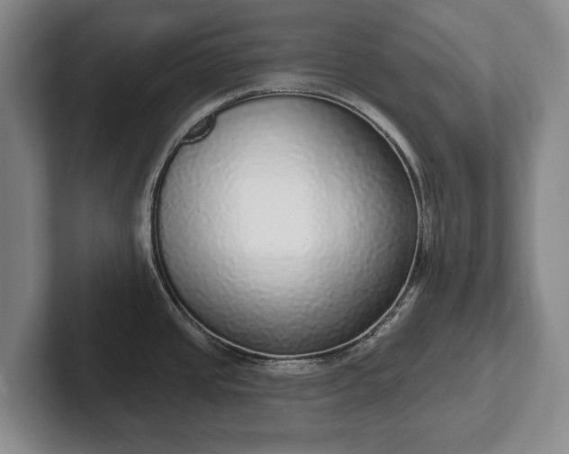 X0000102401437200808081255