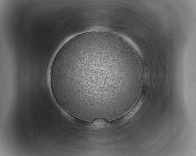 X0000102401438200808081255