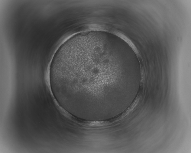 X0000102401439200808081255