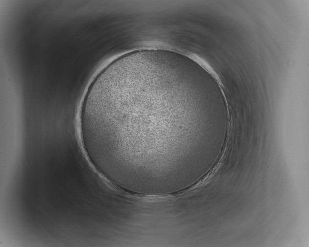 X0000102401440200808081255