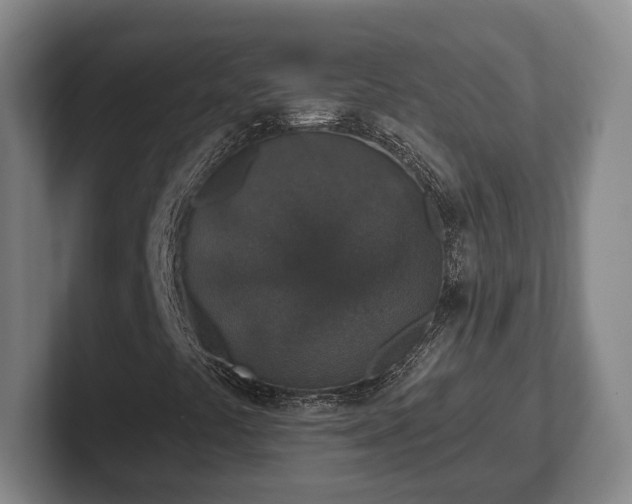 X0000102401441200808081255