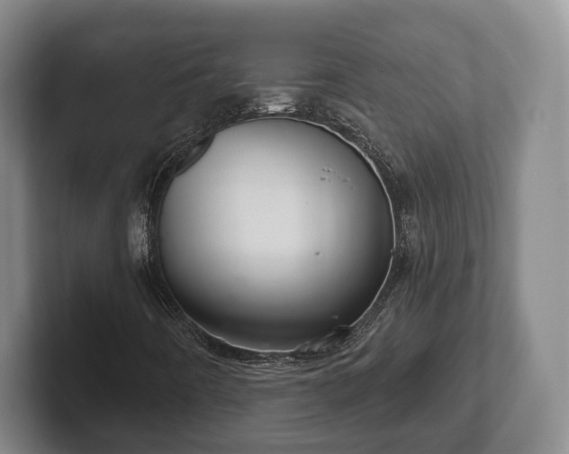 X0000102401442200808081255