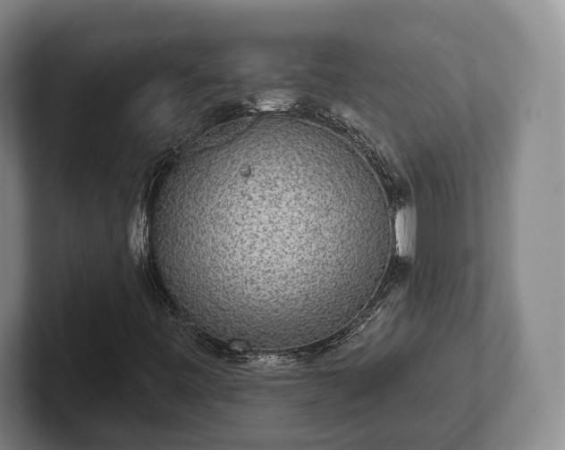 X0000102401443200808081255