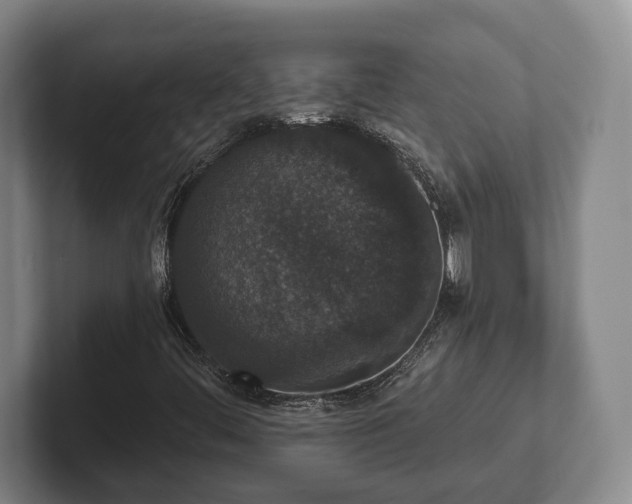 X0000102401444200808081255