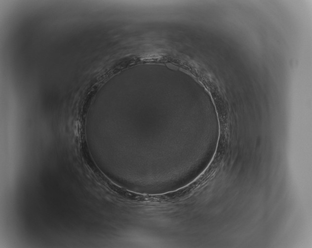 X0000102401445200808081255