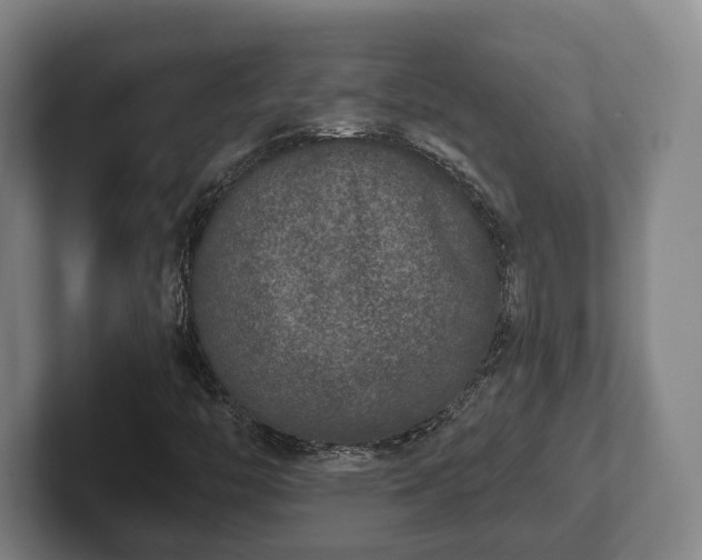 X0000102401446200808081255