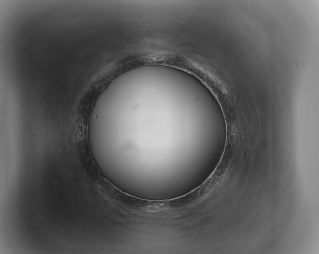 X0000102401447200808081255